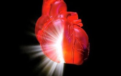 Can Your Heart Predict the Future?